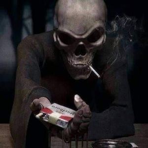 Meet your Posher, Terry